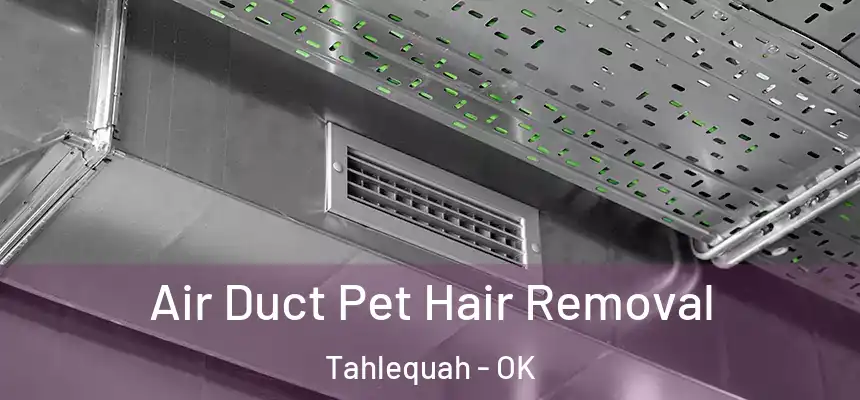 Air Duct Pet Hair Removal Tahlequah - OK