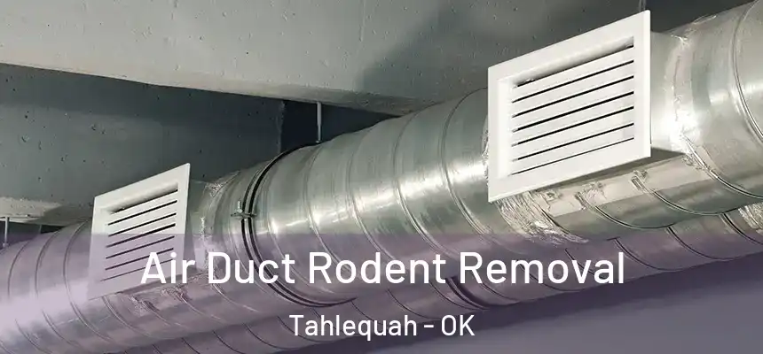  Air Duct Rodent Removal Tahlequah - OK