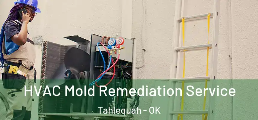  HVAC Mold Remediation Service Tahlequah - OK