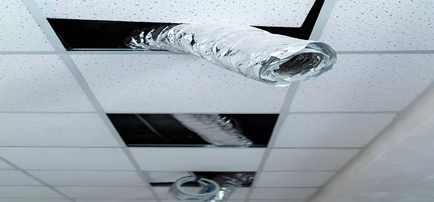 Our Air Duct Pet Hair Removal Services in Tahlequah, OK