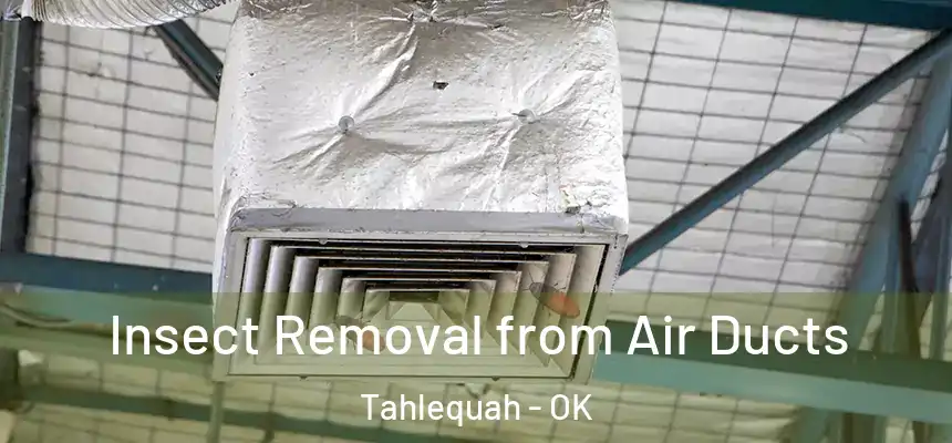  Insect Removal from Air Ducts Tahlequah - OK