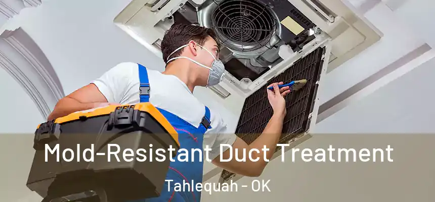  Mold-Resistant Duct Treatment Tahlequah - OK