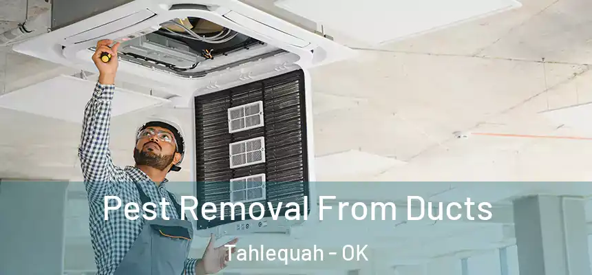  Pest Removal From Ducts Tahlequah - OK