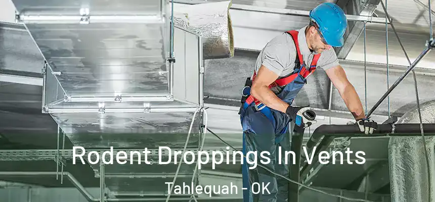  Rodent Droppings In Vents Tahlequah - OK