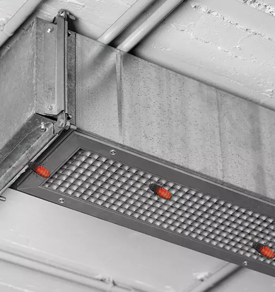 Affordable Insect Removal from Air Ducts in Tahlequah, OK