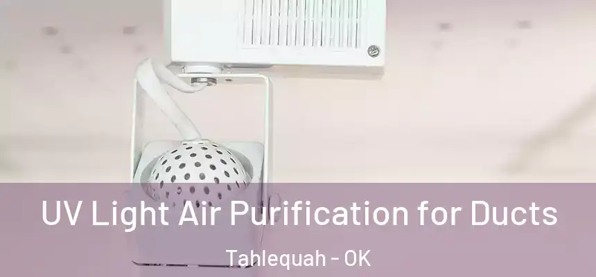  UV Light Air Purification for Ducts Tahlequah - OK